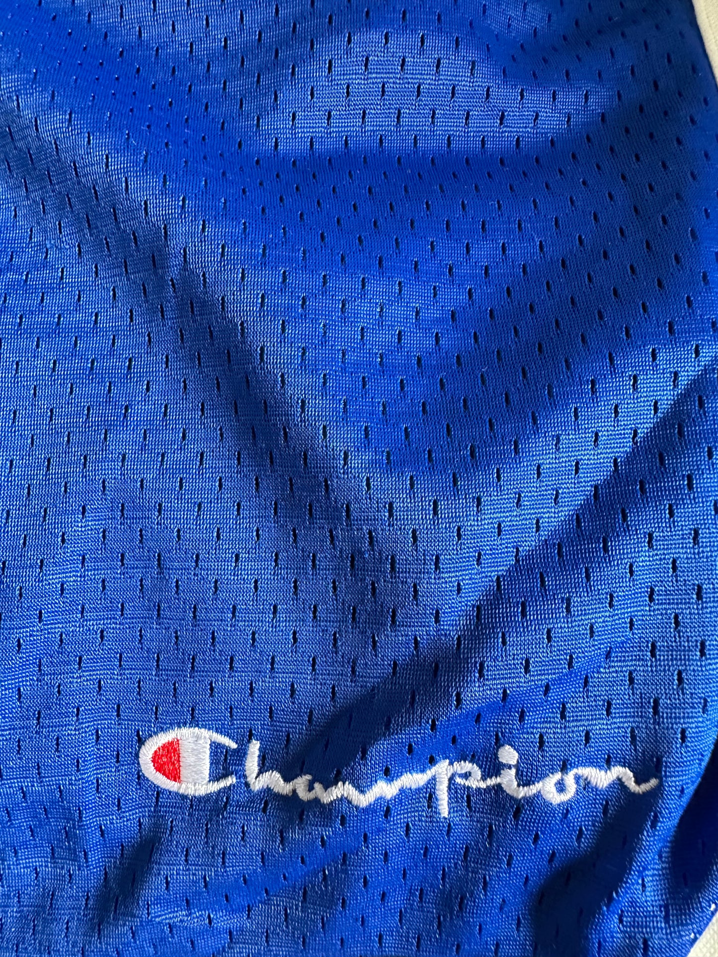 Sweat Shorts Blue Champion